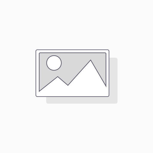 NRI-Practical Notebook-PHYSICS (Single Line/Blank-Std)-80  (copy)